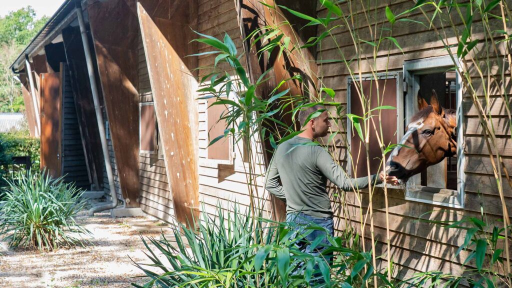 Activerend werk & re-integratie