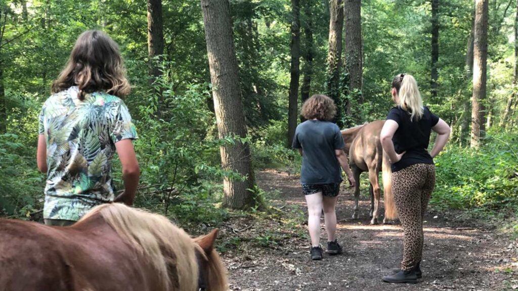Begeleiding in een groep