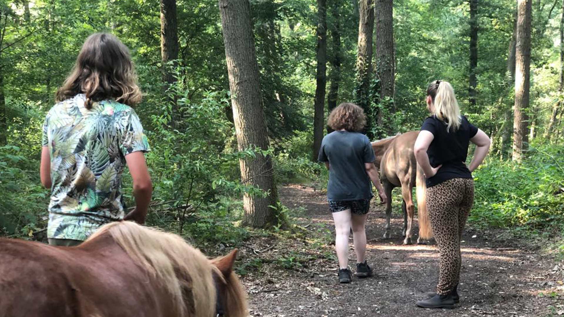 Begeleiding in een groep