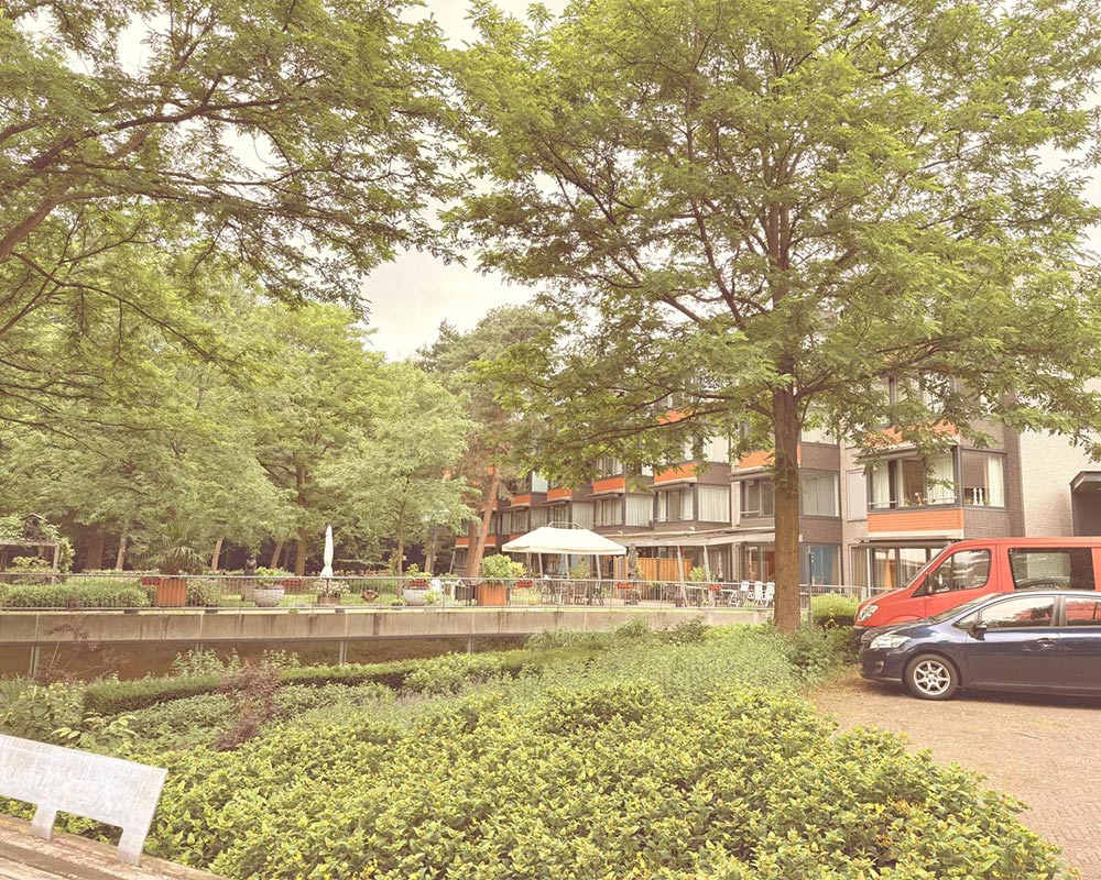 Begeleiding die je niet met een kluitje het riet in stuurt